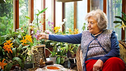 Ela tem 1.200 orquídeas em casa e uma cheira a chocolate