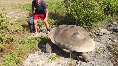 Paul Rose é perseguido por uma tartaruga macho
