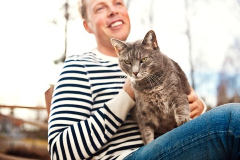 13 curiosidades que não sabia sobre o seu gato