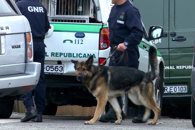 Polícia procura menina que desapareceu da escola