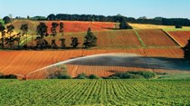 Esgotámos os recursos naturais deste ano