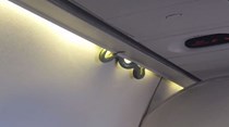 Cobra a bordo de avião aterroriza passageiros