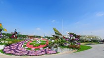 Timelapse revela construção de A380 com 500.000 flores