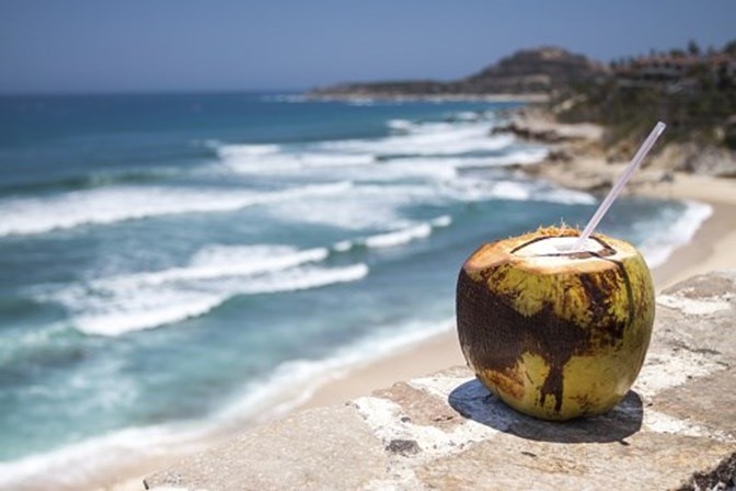 <p><strong>Água de coco</strong></p>
<p>Há quem garanta que a água de coco faz milagres depois de uma hora de exercício físico e até mesmo contra o cancro. É rica em potássio e vitaminas e minerais mas, segundo o dietista, beber um copo de água e uma peça de fruta fresca tem o mesmo resultado. </p>