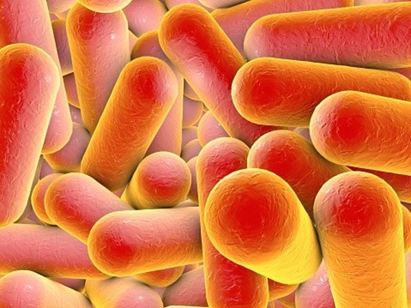 Confirmado terceiro caso de legionella na Maia