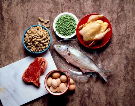 19 - Coma mais proteína<br /><br />