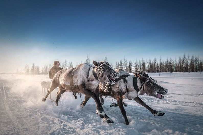 Conheça os finalistas da 14.ª Competição Smithsonian Photo 2016