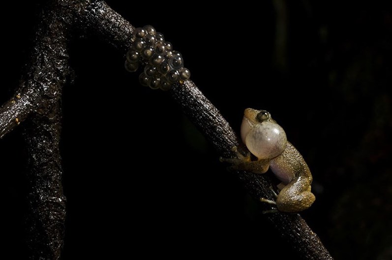 Conheça os finalistas da 14.ª Competição Smithsonian Photo 2016