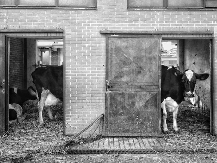 Conheça os finalistas da 14.ª Competição Smithsonian Photo 2016