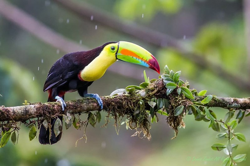 Conheça os finalistas da 14.ª Competição Smithsonian Photo 2016