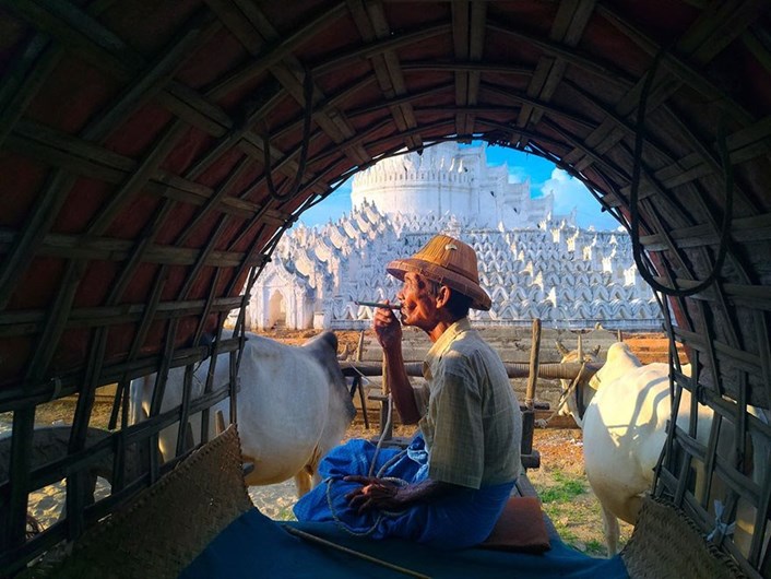 Conheça os finalistas da 14.ª Competição Smithsonian Photo 2016
