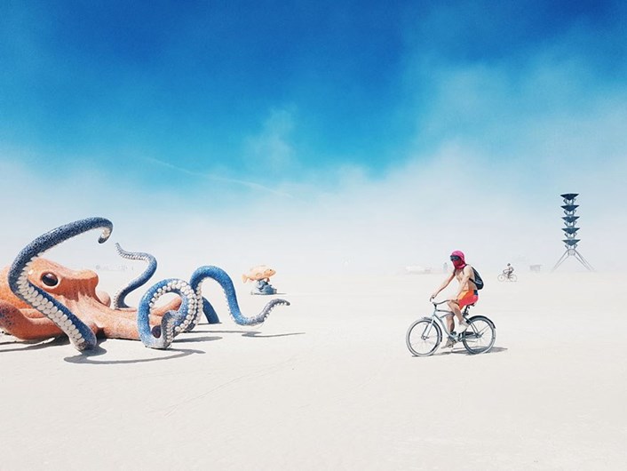 Conheça os finalistas da 14.ª Competição Smithsonian Photo 2016