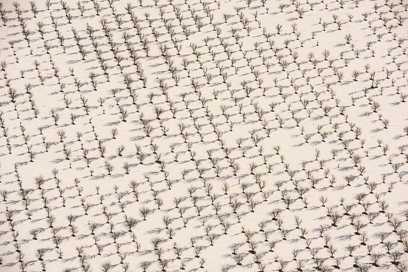 Conheça os finalistas da 14.ª Competição Smithsonian Photo 2016