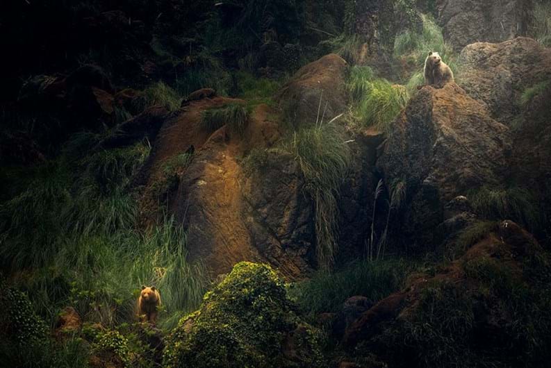 Conheça os finalistas da 14.ª Competição Smithsonian Photo 2016