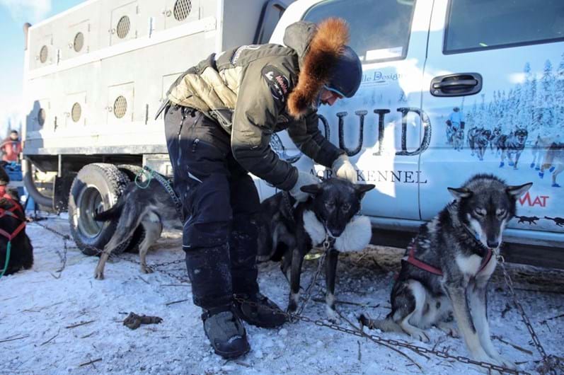 Iditarod: a corrida de trenós puxados por cães ao longo de 1.610 Km