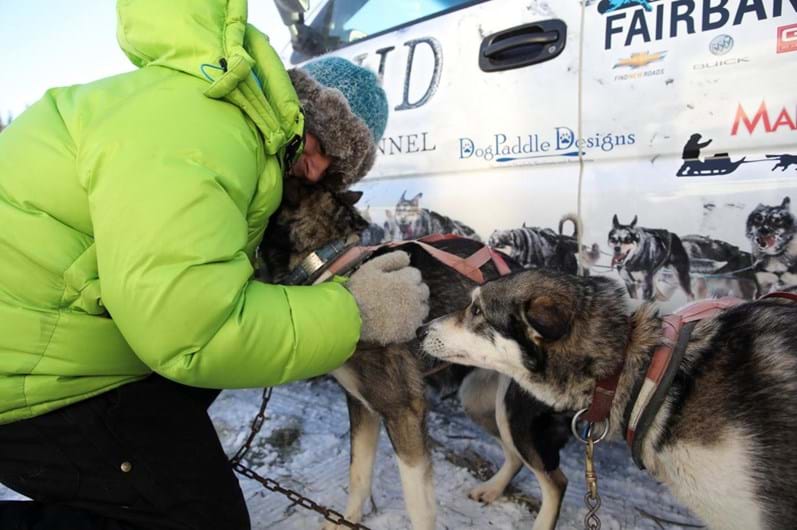 Iditarod: a corrida de trenós puxados por cães ao longo de 1.610 Km