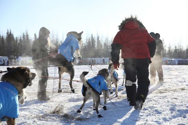 Iditarod: a corrida de trenós puxados por cães ao longo de 1.610 Km