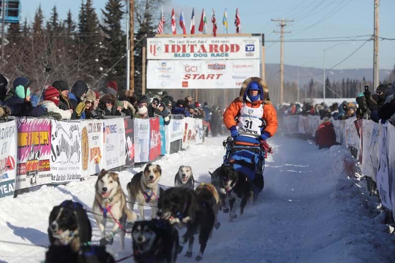 Iditarod: a corrida de trenós puxados por cães ao longo de 1.610 Km