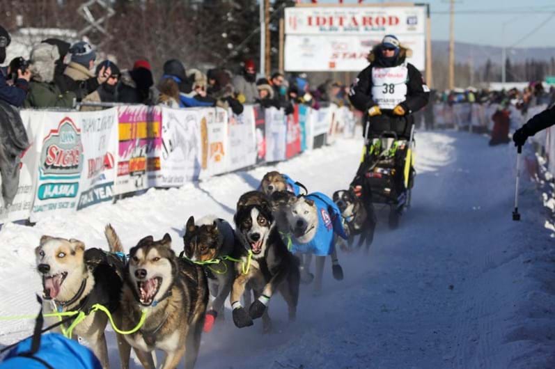 Iditarod: a corrida de trenós puxados por cães ao longo de 1.610 Km