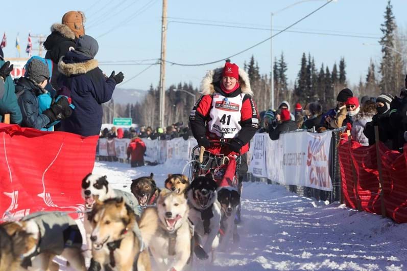 Iditarod: a corrida de trenós puxados por cães ao longo de 1.610 Km