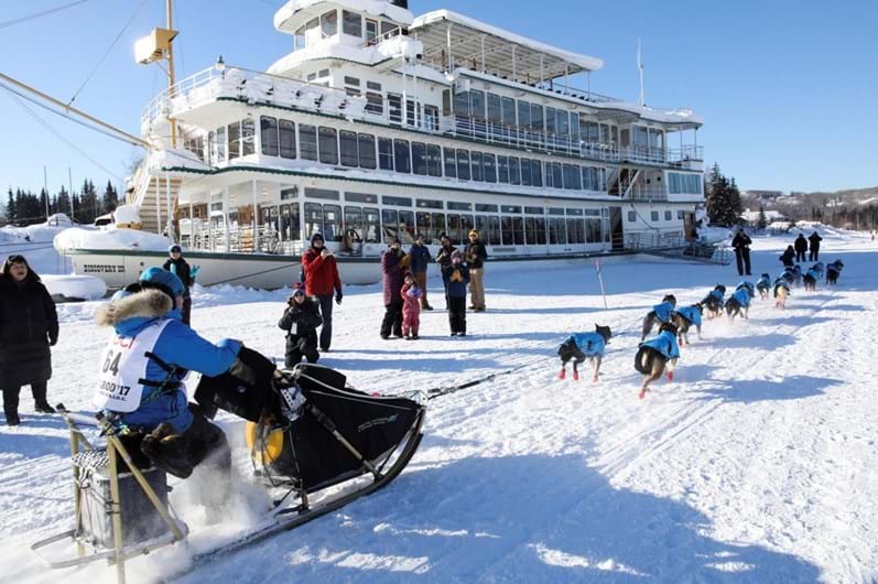 Iditarod: a corrida de trenós puxados por cães ao longo de 1.610 Km