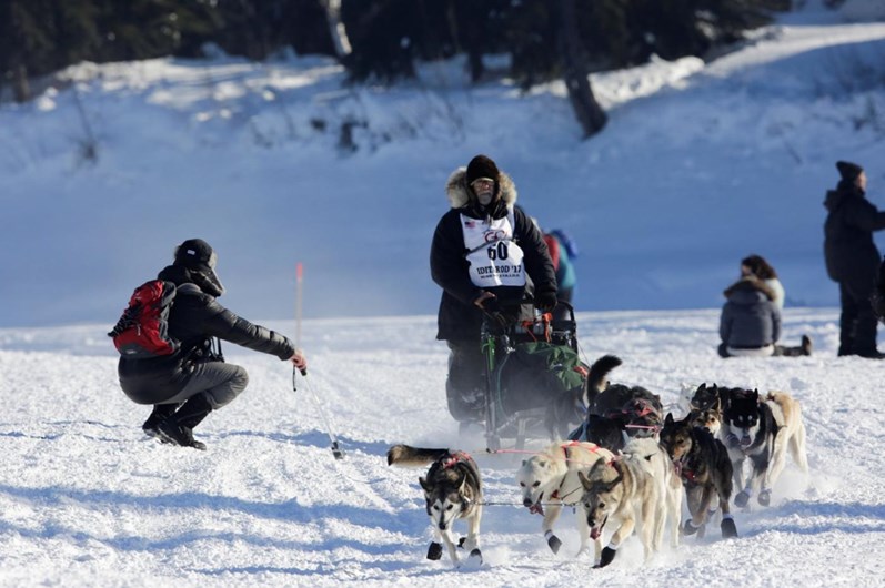 Iditarod: a corrida de trenós puxados por cães ao longo de 1.610 Km