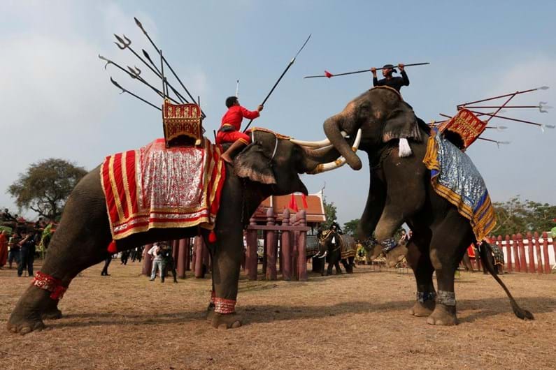 Tailândia celebra o Dia Nacional do Elefante