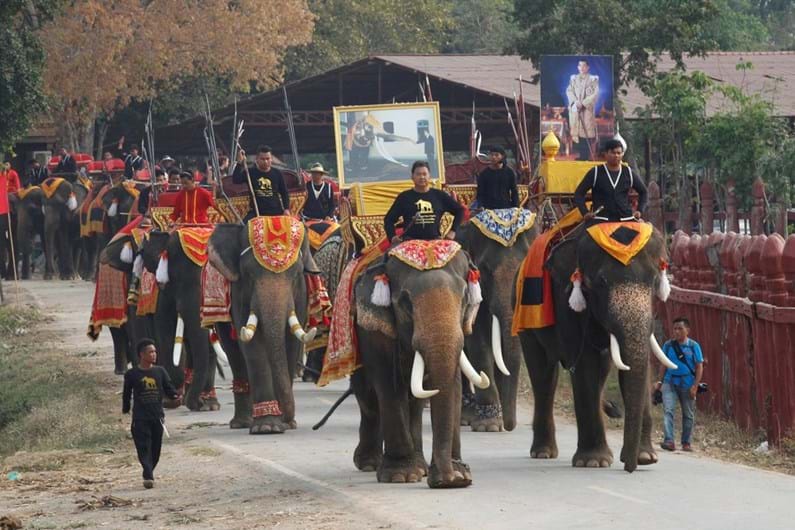 Tailândia celebra o Dia Nacional do Elefante