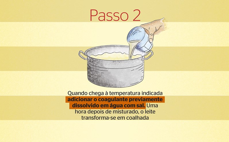 Aprenda a fazer queijo fresco em casa