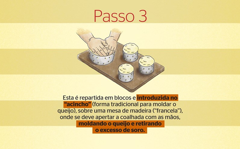 Aprenda a fazer queijo fresco em casa