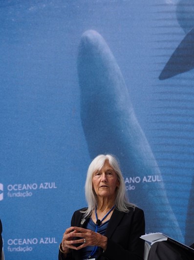 A Fundação Oceano Azul em imagens
