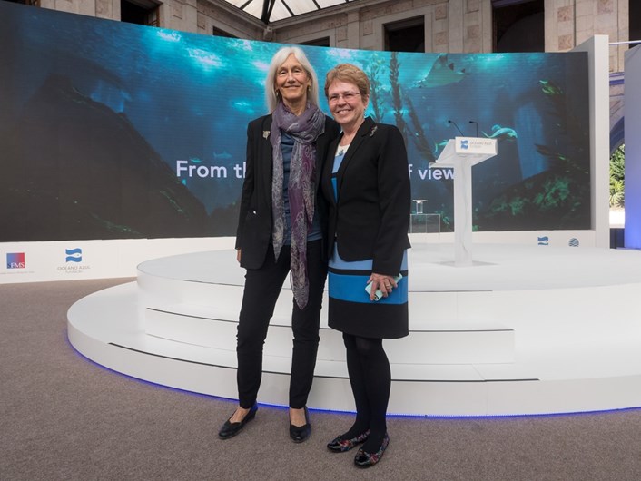 A apresentação da Fundação Oceano Azul