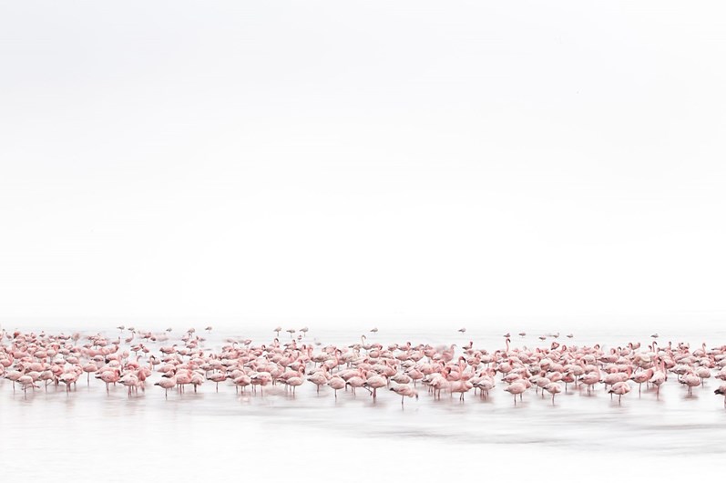 Sony World Photography Awards 2017