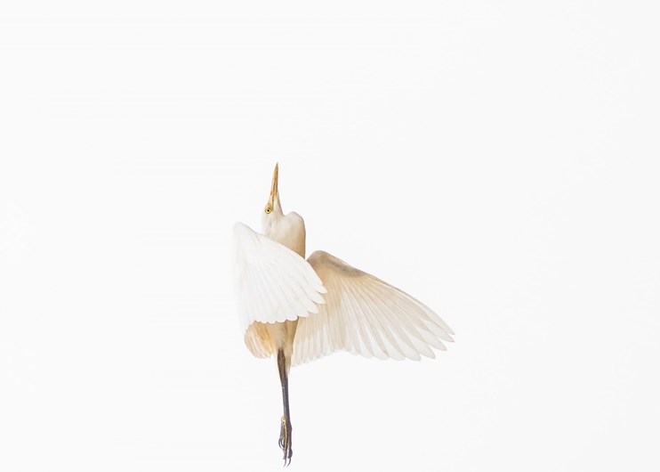 Sony World Photography Awards 2017