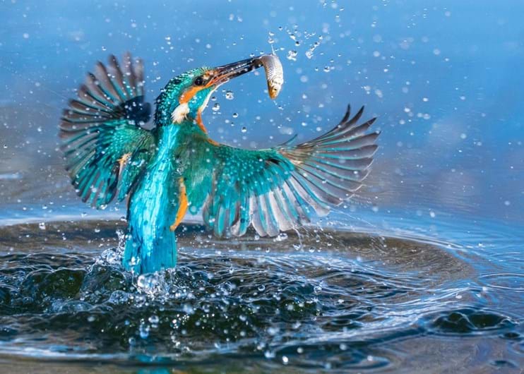 Sony World Photography Awards 2017