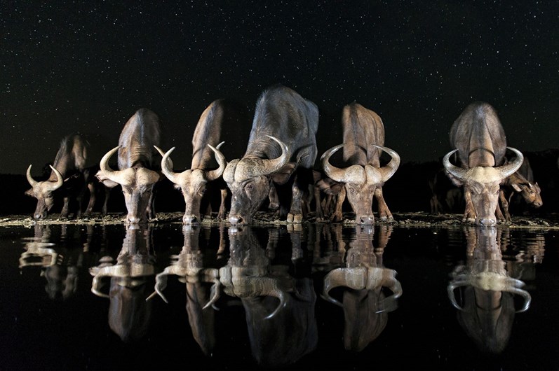 Sony World Photography Awards 2017
