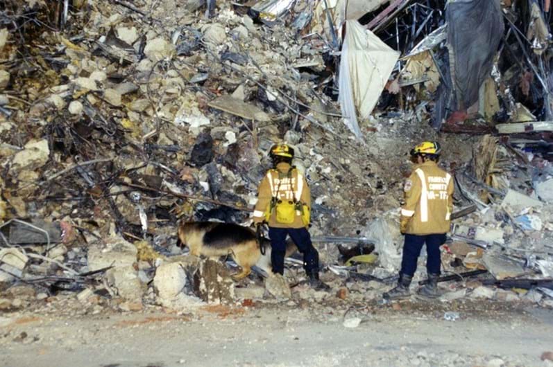 FBI divulga imagens inéditas do 11 de Setembro