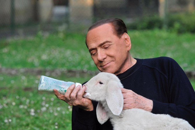 Berlusconi salva cordeiros e irrita comerciantes