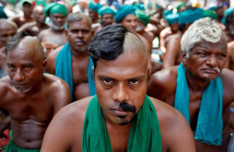 Ratos e meia cabeça rapada: os protestos dos agricultores indianos