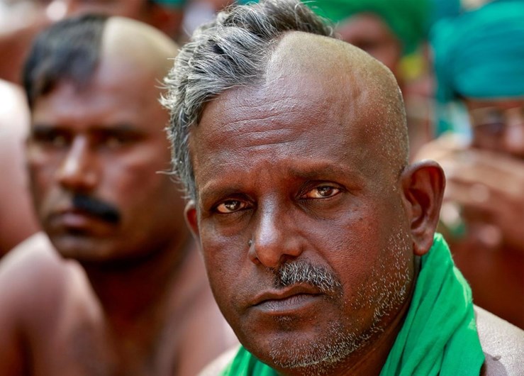 Ratos e meia cabeça rapada: os protestos dos agricultores indianos