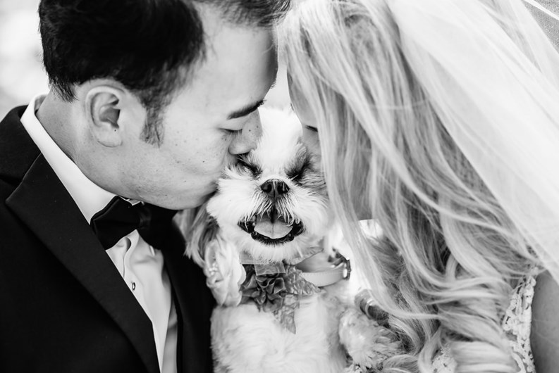 As melhores fotos de casamento que já viu
