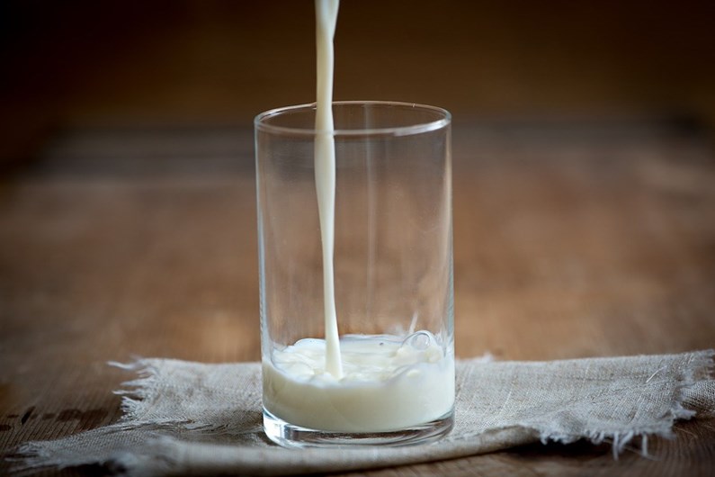 7 alimentos que emagrecem e aceleram o metabolismo