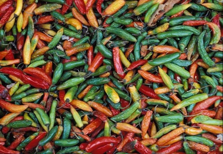 7 alimentos que emagrecem e aceleram o metabolismo