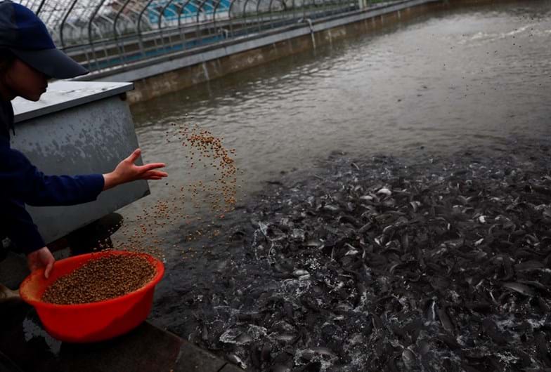 As imagens do dia-a-dia na Coreia do Norte