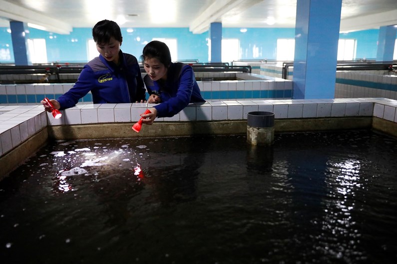 As imagens do dia-a-dia na Coreia do Norte