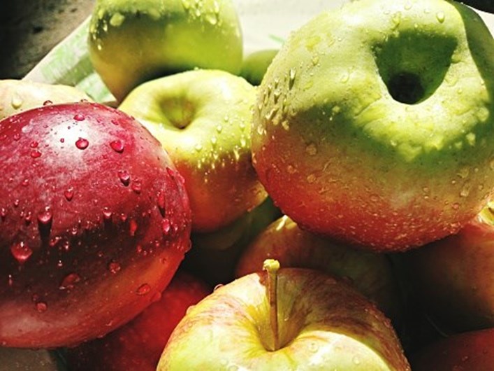 Os dez alimentos que o deixam mais saciado para perder peso