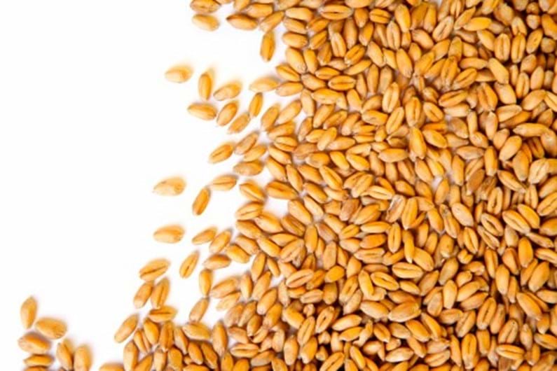 Os dez alimentos que o deixam mais saciado para perder peso