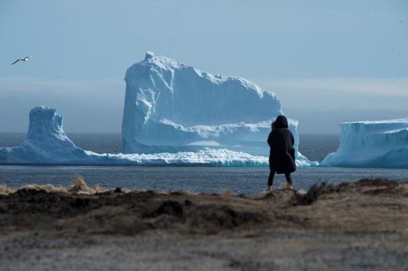 Canadianos vêem o primeiro iceberg da temporada