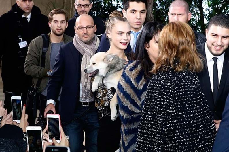 As celebridades e os seus animais de estimação