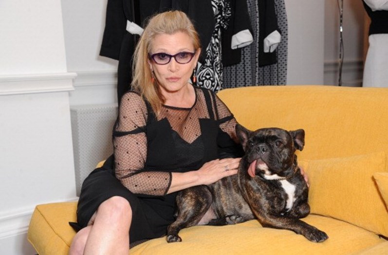 As celebridades e os seus animais de estimação